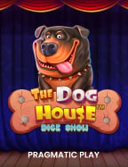 ทำความรู้จักกับ slot น้อง ใหม่ วิธีเล่นและเทคนิค